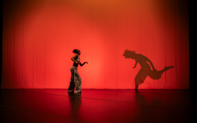 Predstava “Migracija zraka” sutra u Centru za mlade