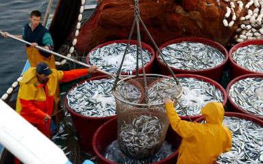 Vremenski uvjeti poremetili ribolovne planove