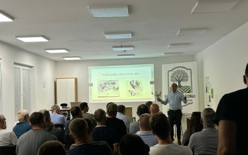 Radionica o morfologiji autohtonih sorti maslina Zadarske županije okupila stručnjake i maslinare u Zemuniku