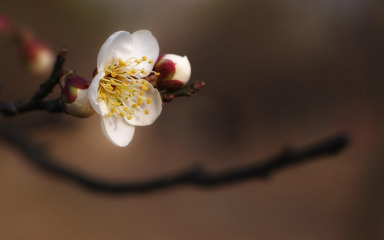 Ugroženo dostojanstvo