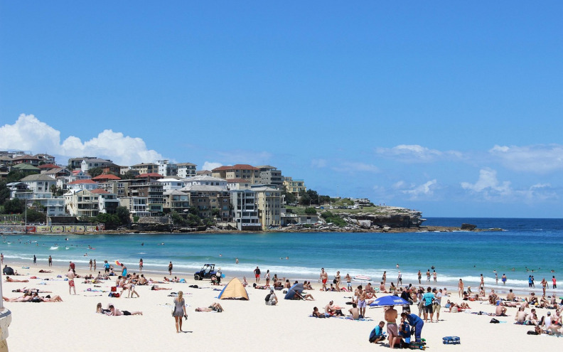 Surfer umro nakon napada morskog psa na plaži u Sydneyu