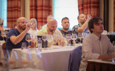 Deset godina diplomatske berbe: Plešivica ponovo spojila tradiciju i diplomaciju