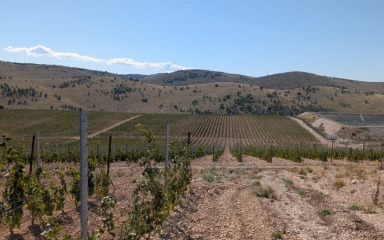 Napokon je dalmatinski ego dobio svoju epopeju – i to u vinskoj čaši