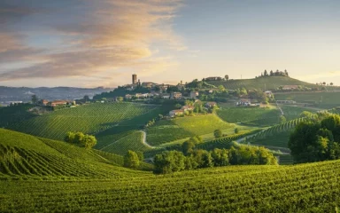 Bruno Rocca — terroir koji priča i miriše na jesen