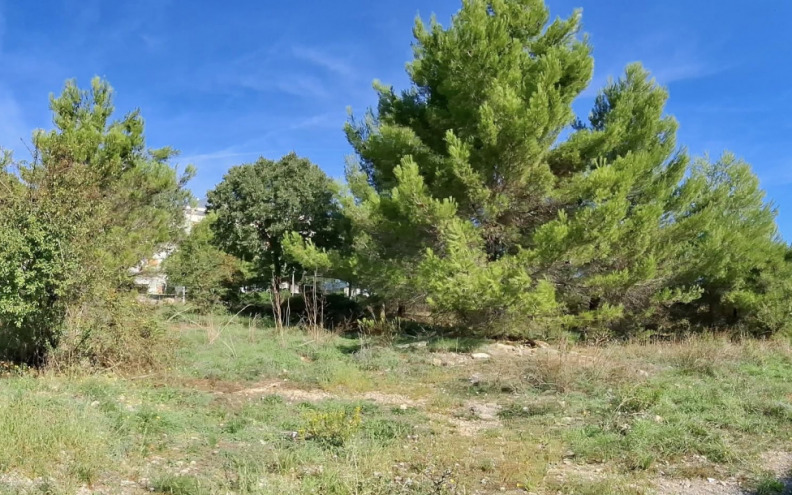 'I TO BAŠ NITKO NE VIDI?' Zgrožena Zadranka: 'Vide se štakori usred dana između zgrada'