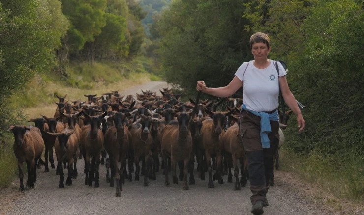 PASTIRICA KATICA S DUGOG OTOKA: 'To je težak i složen posao. A najvažnije – moraš to voljeti'