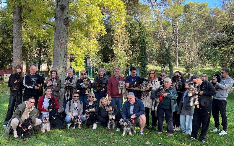 ZADAR KROZ ŠAPICE Mali psi velikog srca, oštrog uma i neograničene odanosti