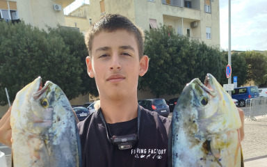 Lampuge umjesto strijeljki