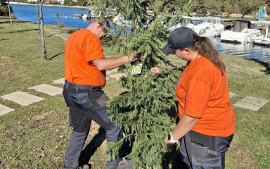 U Zatonu zasađena 23 nova stabla za zeleniju budućnost