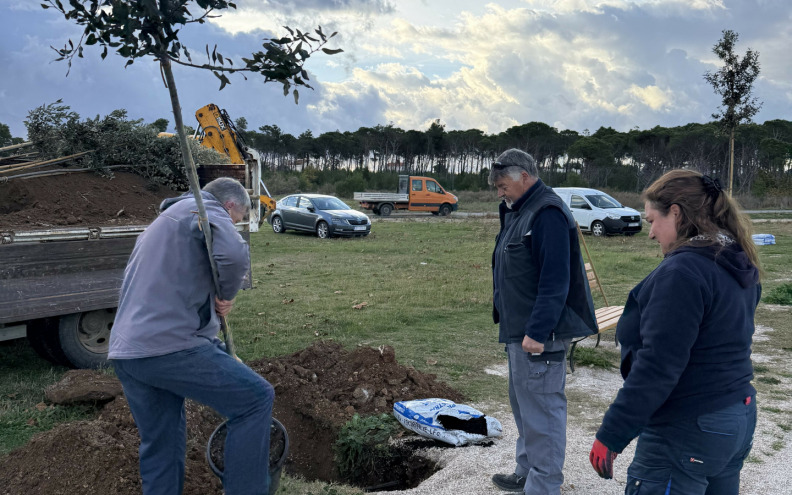 Kod plaže Mostina posađeno deset hrastova crnike