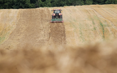 Ministarstvo ulaže  12,5 milijuna eura  u kvalitetniju sjetvu