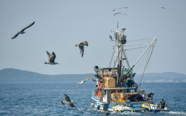 Ribari traže da ih se oslobodi bezbrojnih administrativnih obveza: ‘Više smo u papirima, nego na moru’