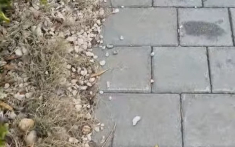 'ČISTA NEKULTURA!' Zadranku zgrozio prizor na Puntamici: 'Mene je sram kad ovo vidim!'