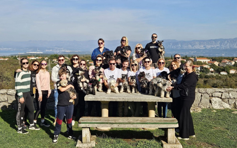 Patuljasti šnauceri ove nedjelje osvajaju zadarske ulice