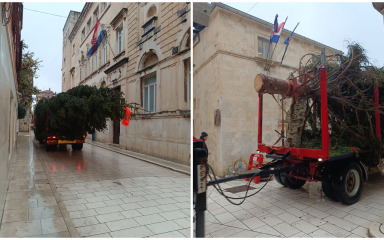 Božićna jelka stigla na Narodni trg, uskoro će biti okićena