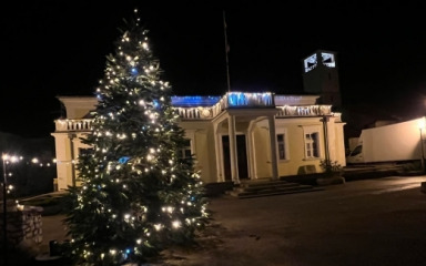BOŽIĆNI UGOĐAJ Na zadarskim otocima okićeno 12 jelki koje je kupio Grad Zadar