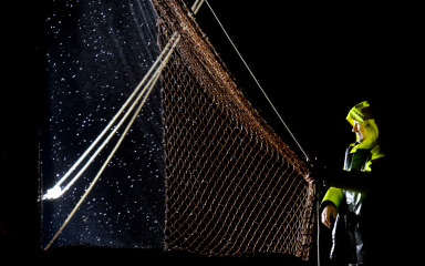 IZMEĐU PRAKSE I PROPISA Pred ribarima još jedna velika zakonska promjena