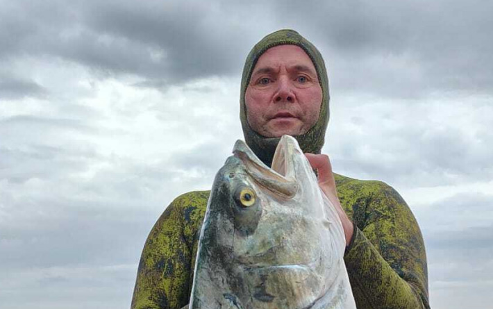 Jacera je i dalje – premalena