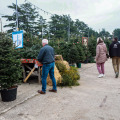 Od 30 do čak 250 eura: Donosimo cijene božićnih drvaca na najpoznatijoj lokaciji u gradu