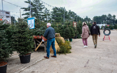Od 30 do čak 250 eura: Donosimo cijene božićnih drvaca na najpoznatijoj lokaciji u gradu