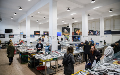 Zadrani kupuju bakalar, lignje… no Poluotok nije pun kupaca kao nekad