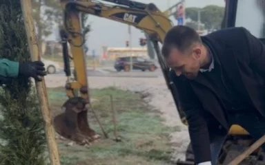 Erlić posadio jubilarno 500. stablo: ‘Iduće godine posadit ćemo još 1000 stabala’