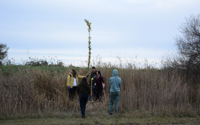 Vrijedni volonteri zasadili 60 pažljivo odabranih sadnica konopljike