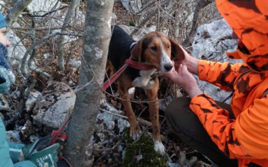 Zadarski HGSS spasio psa koji je upao u rupu u stijeni