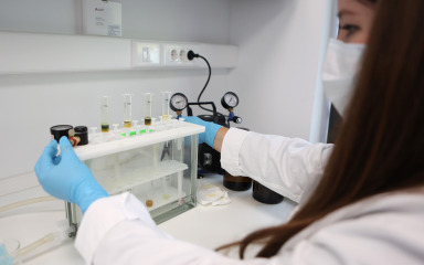 Znanstvenici s Ruđera Boškovića ispitali devet novih molekula koje bi mogle dati lijek protiv tumora