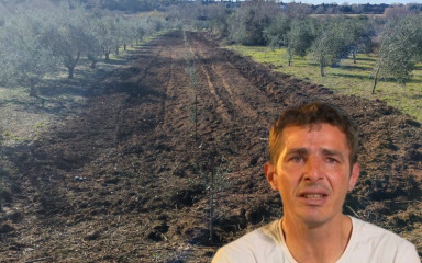 Bivši sudionik šou-emisije »Ljubav je na selu« u šoku! Posjekli mu 25 maslina