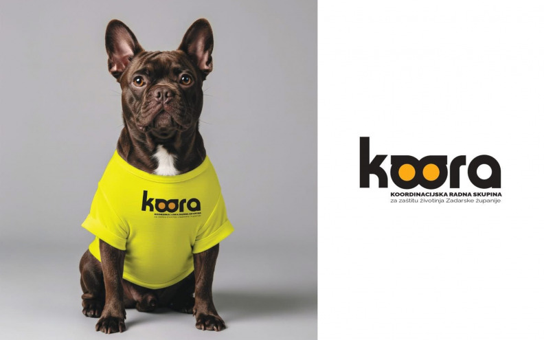 Snažnija zaštita životinja u Zadarskoj županiji: KOORA započela s radom