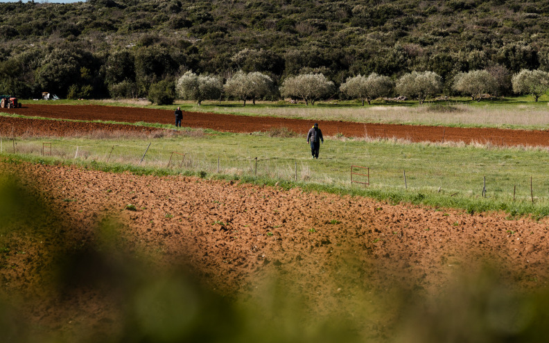 U planu su prva uljara, farma i još jedan hotel