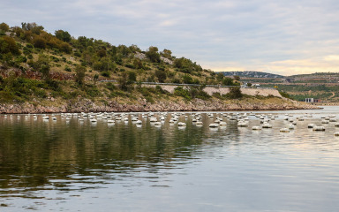 KONCESIJA VRIJEDNA 3,4 MILIJUNA Vlada odlučila tko pod Velebitom uzgajati školjke
