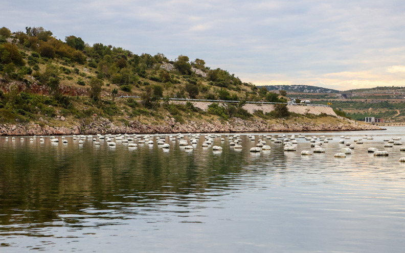 KONCESIJA VRIJEDNA 3,4 MILIJUNA Vlada odlučila tko će pod Velebitom uzgajati školjke
