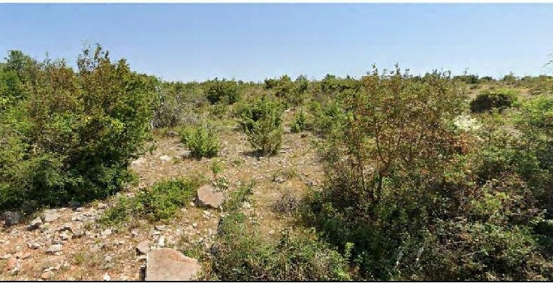 Veliki nasad bajama te maslina u Slivnici: 'Kako bi se pripremio teren za...'