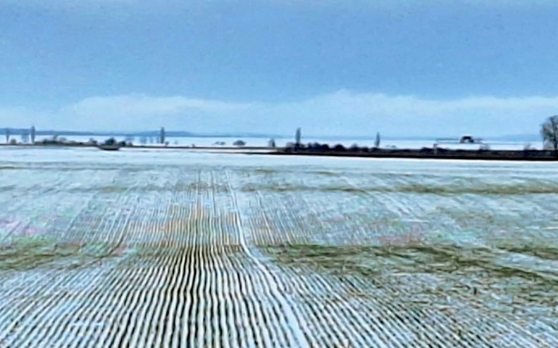 Poljoprivrednici dočekali svojih pet minuta: Hladna zima i snijeg znače i manje štetnika i prskanja