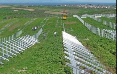 Utječu li sunčane elektrane na rast populacije zmija? ‘Može doći do poremećaja u prirodi…’