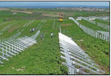 Utječu li sunčane elektrane na rast populacije zmija? 'Može doći do poremećaja u prirodi...'