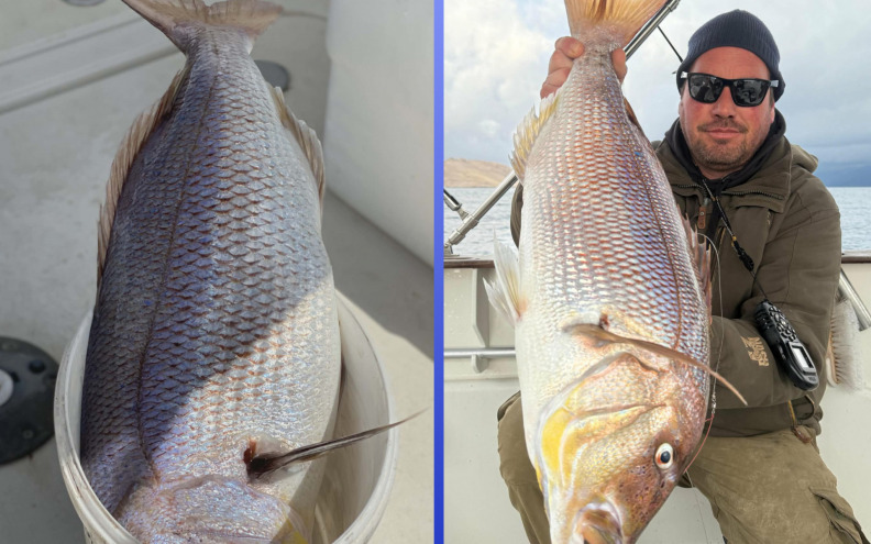 ZUBATAC Ante Pekas ulovio dva kapitalca, jednog od 9, a drugog od 6 kilograma