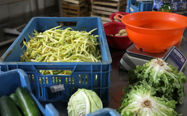 Akcijski plan do 2030. ne daje rezultate, ekološka je proizvodnja ugašena na 1.000 hektara