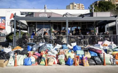 Objava Zadarskog azila vrvi od emocija! ‘Preuzeli smo one u najgorem stanju, mršave…’