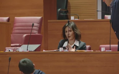 VIDEO Daliju Orešković u Saboru stresla struja, pogledajte snimku incidenta