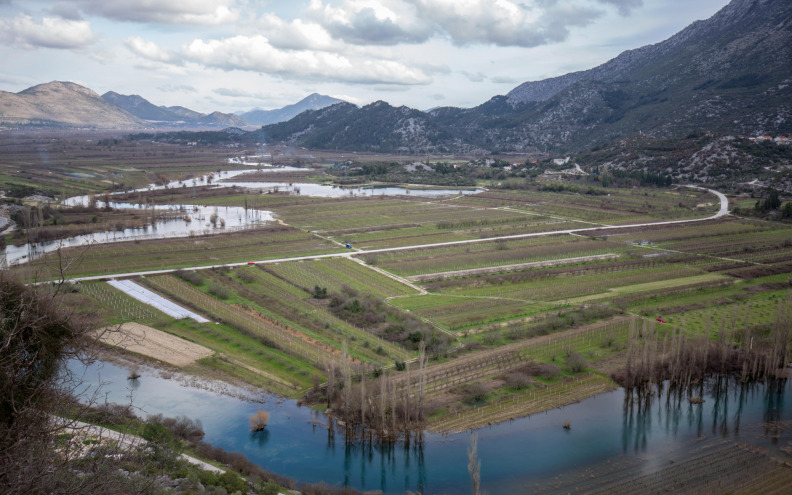 Poplavljena polja u Vrgorcu, pod vodom pola milijuna čokota vinove loze