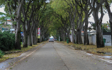 Zagrebačka tvrtka izrađuje glavni projekt rekonstrukcije najljepše gradske prometnice: ‘Znatno će se poboljšati prometno stanje…’