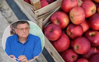 Hrvatski voćari: ‘Domaće jabuke pod strogim su EU nadzorom, ne koristimo nikakav koktel pesticida’
