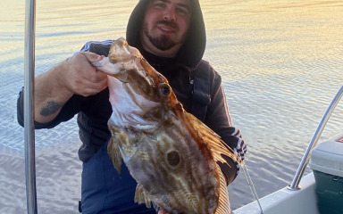 Ulov za pamćenje. Na trakicu lignje ulovio kovača od 2,3 kilograma