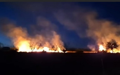 VIDEO Izbio požar u Velimu, brzo je ugašen