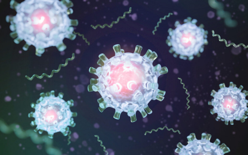 Ovo su virusi koji bi nam, prema infektolozima, u 2026. mogli prijetiti novim pandemijama