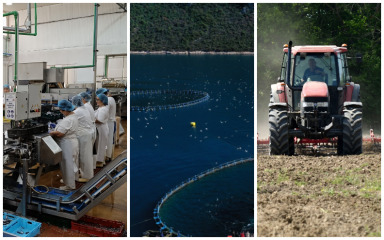 NAJUSPJEŠNIJA GODINA Odlični zadarski pokazatelji potvrđeni su i u prosincu 2025.