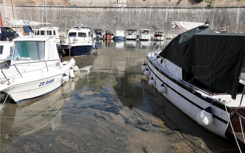 Otkriveni uzroci masovne pojave morske sluzi u sjevernom Jadranu